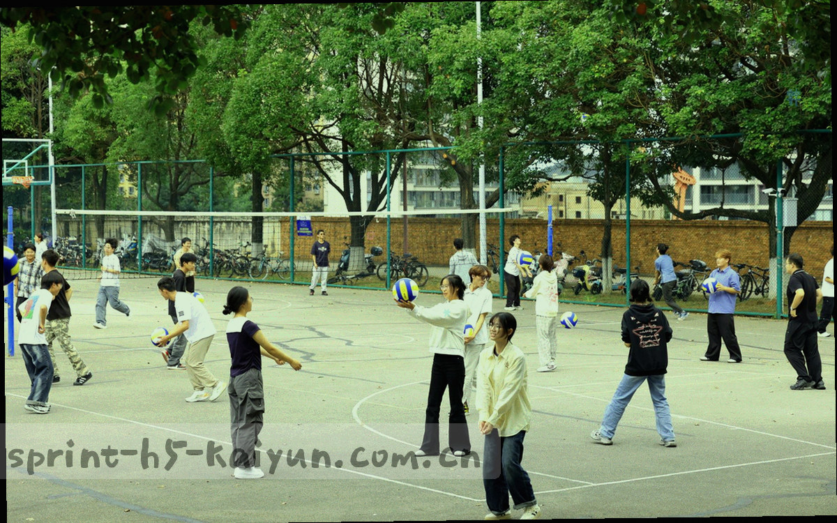 球场热区叠加示意，深浅色块表示不同区域的抢断发生密度